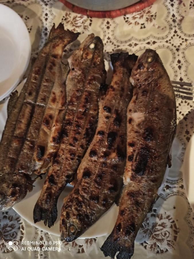 Гостевой дом Гостевой дом у Илюши Пицунда-21