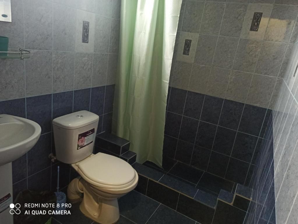 Гостевой дом Гостевой дом у Илюши Пицунда